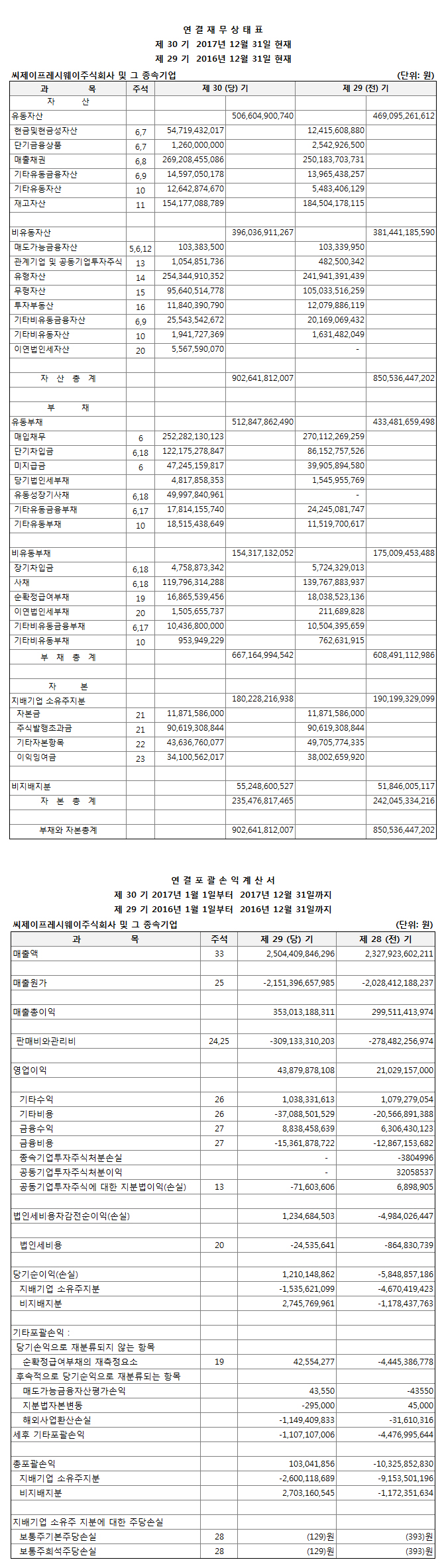 제 30기 재무제표(연결)